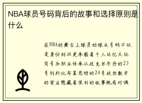 NBA球员号码背后的故事和选择原则是什么