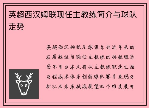 英超西汉姆联现任主教练简介与球队走势