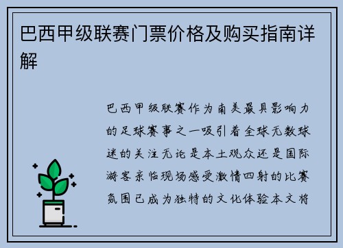 巴西甲级联赛门票价格及购买指南详解